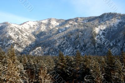 Altai Mountain with snow
