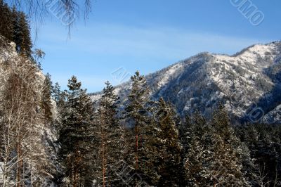 Altai Mountain with snow