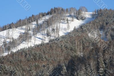 Altai Mountain with snow