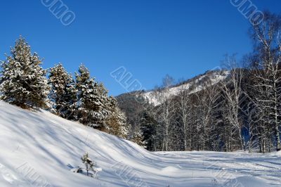 Altai Mountain with snow