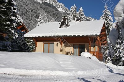 Alpine cabin