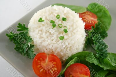 Rice Stack And Salad
