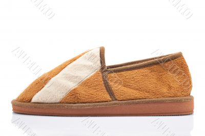 Male brown slipper