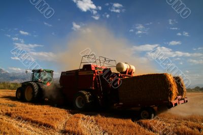 Harvest Time