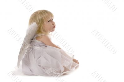 dreaming angel