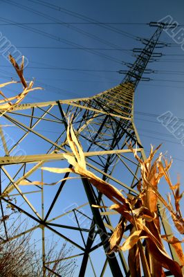 stream mast