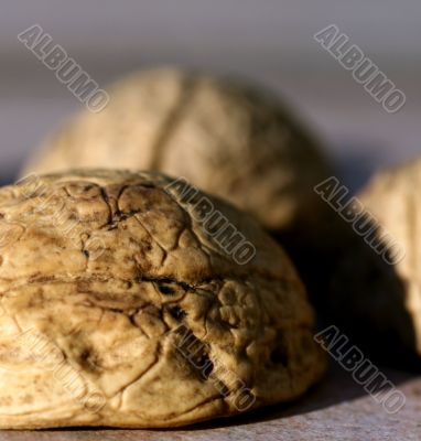 Nutshells