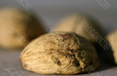 Nutshells