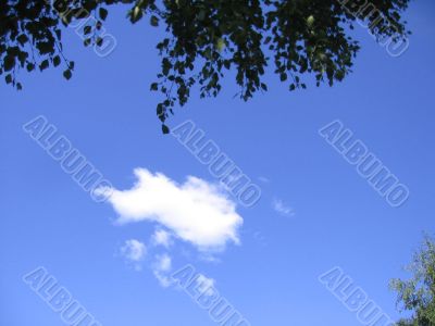 Leaf and Cloud