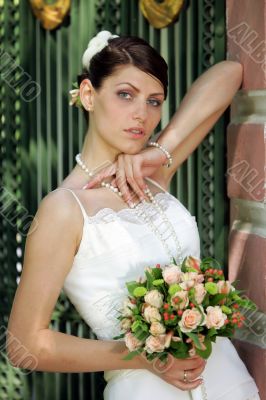 Beautiful Bride Portrait
