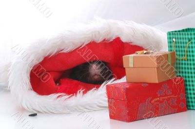 from christmas to new year