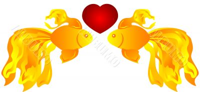 Fish in love