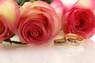 two wedding rings