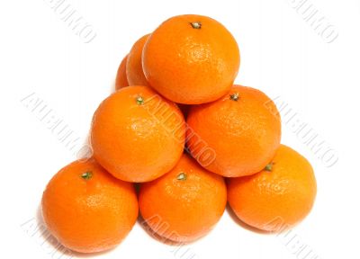 tangerines.