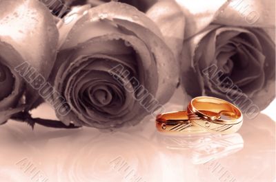 two wedding rings
