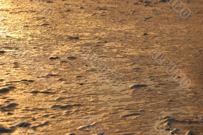 Beach in evening light