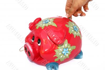 Piggy bank