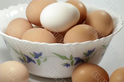  eggs