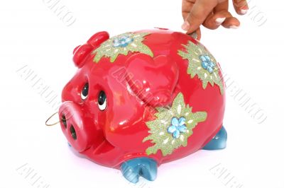 Piggy bank