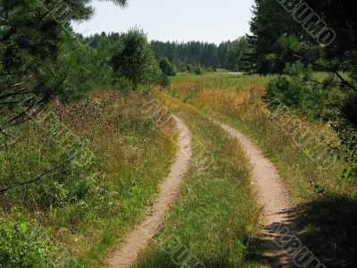 sunny road