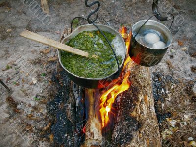 campfire sorrel soup
