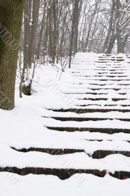 Stairs in Winter