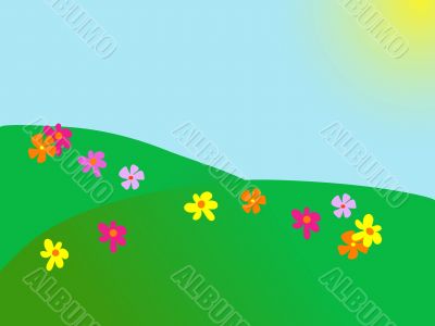 Summer meadow