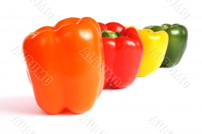 Colourful pepper