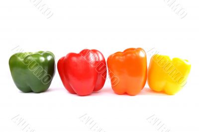 Colourful pepper