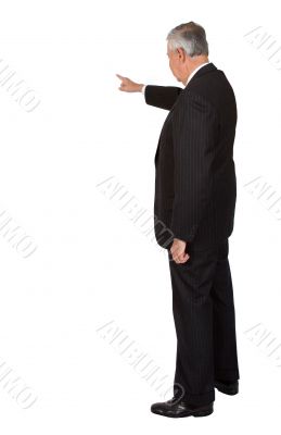 business man doing a presentation