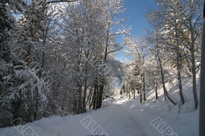 Montain Snow 3