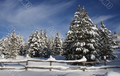 Montain Snow 2