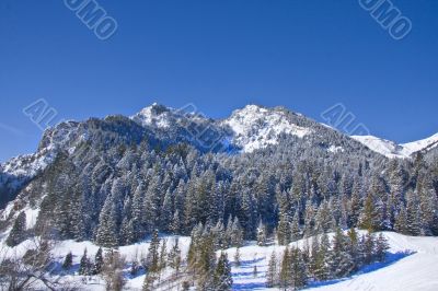 Montain Snow