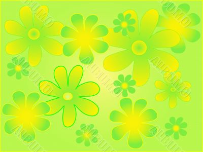 Spring flowers