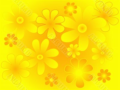 Summer flowers