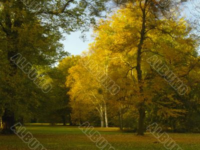 autumnal park