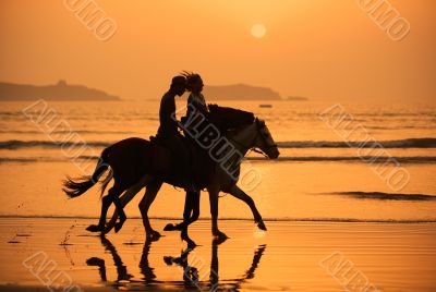 Horses Sunset