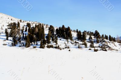 Altai Mountain with snow in winter