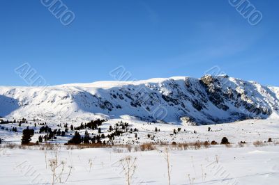 Altai Mountain with snow in winter