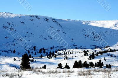 Altai Mountain with snow in winter