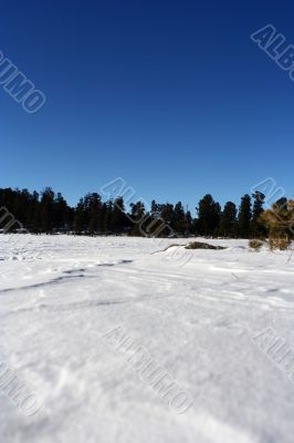 Altai Mountain with snow in winter