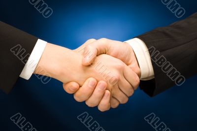 Business handshake