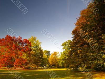 autumnal park