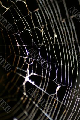 Glowing Cobweb