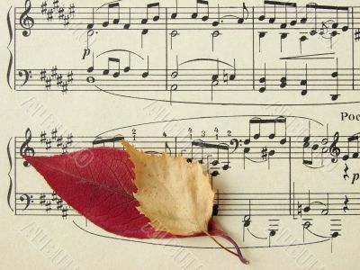 autumnal melody