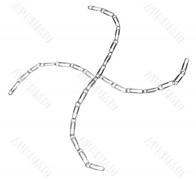 Paperclip Chain
