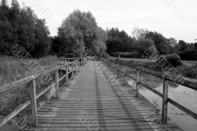 Bridge