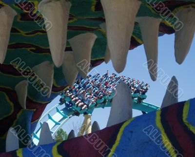 Roller Coaster