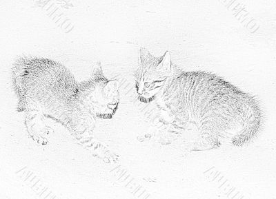abstract background with play cat