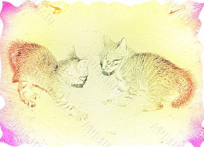 abstract background with varicoloured cat
